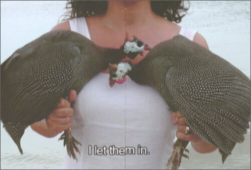 Koštana Banović – Among Houses and the Cosmos