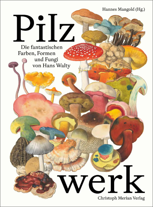 Pilzwerk - Die fantastischen Farben, Formen und Fungi von Hans Walty (german ed)