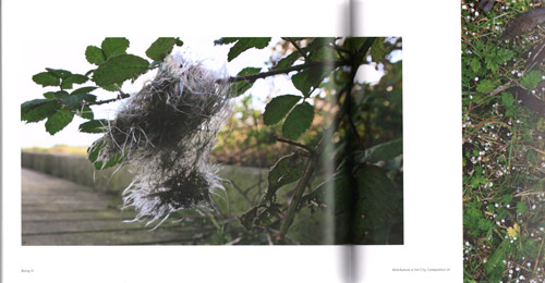 Patricia De Ruijter - Beings Patricia De Ruijter - Beings