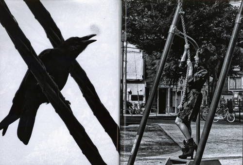 Daido Moriyama: Record 43 Daido Moriyama: Record 43