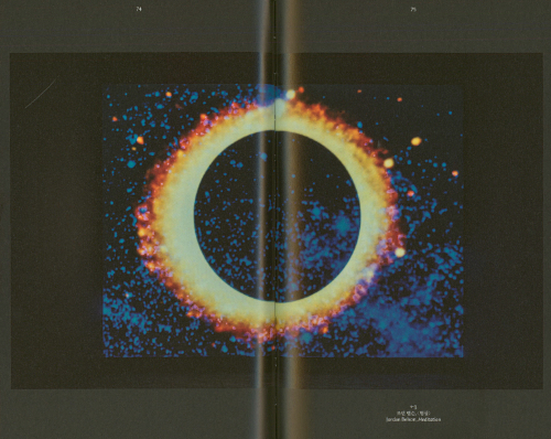 Séance: Technology of the Spirit (13th Seoul Mediacity Biennale)