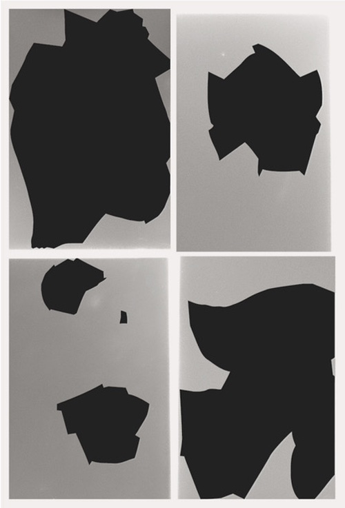 Kai Udema – Bird shaped vinyl