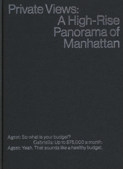 Private Views - A High Rise Panorama Of Manhattan (Reprint)