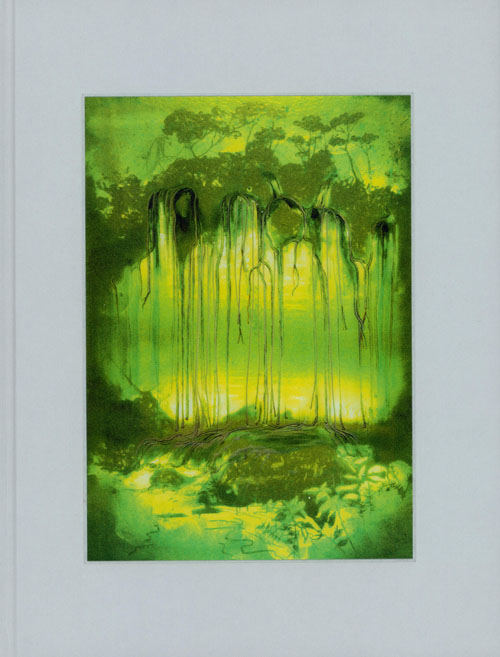 Philipp Furhofer - (Dis)illusions Philipp Furhofer - (Dis)illusions
