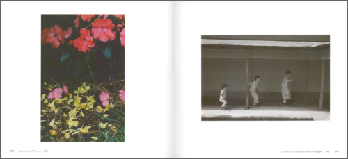 Yoshihiko Ueda – From the Hip