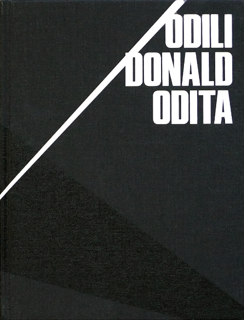 Odili Donald Odita 1991-2021