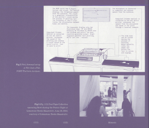 Mimesis: The Non-Standard Poetry Book