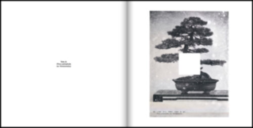 Jan S. Hansen – Tetra AL