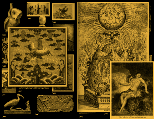 with a Bird, A Reader on Avian Kinship with a Bird, A Reader on Avian Kinship