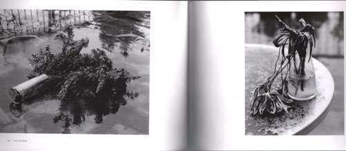 Nobuyoshi Araki - Sentimental Journey 1971 - 2017