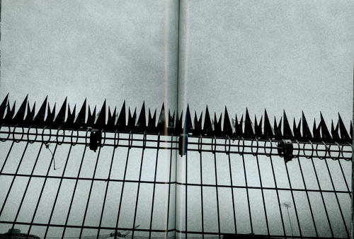 Daido Moriyama: Record 44 Daido Moriyama: Record 44