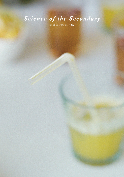Science of the Secondary 17: Straw