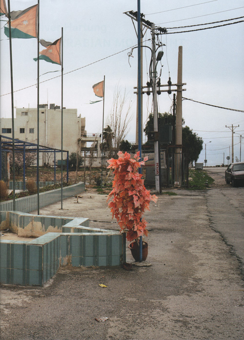 Oliver Hartung: The Arabian Monument