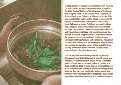 Melon 1: On Foraging in Palestine, Japan & Maastricht (New edition)