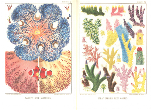 Notebook The Great Barrier Reef Notebook The Great Barrier Reef
