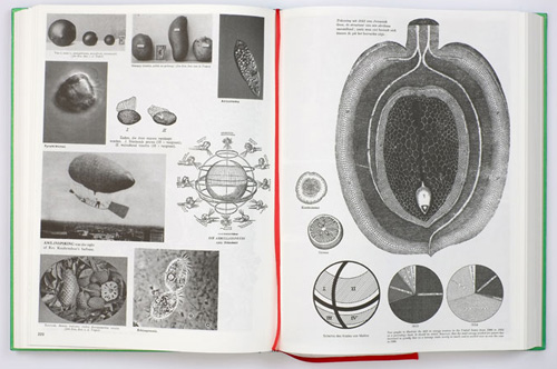 Batia Suter - Parallel Encyclopedia 2 Revised Edition