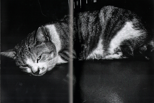 Daido Moriyama: Record 34