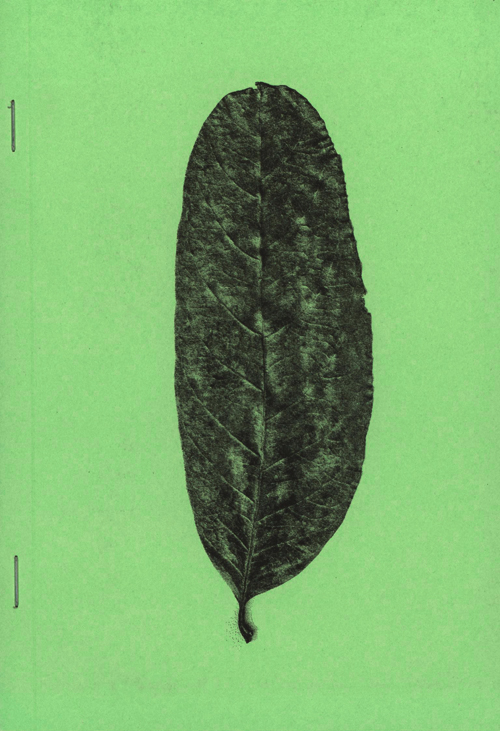 Plant Scans Jamie Yeo