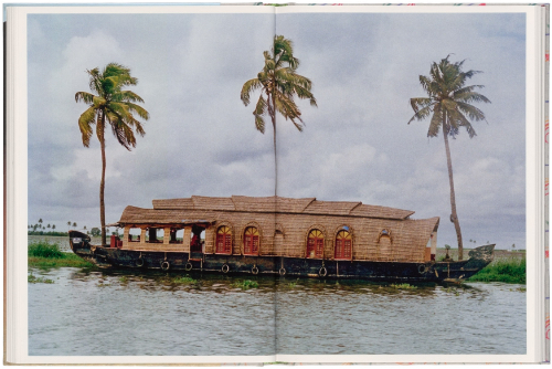 Albert Elm - This Much Is True