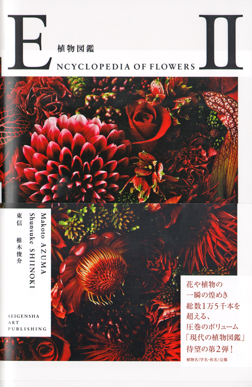 Encyclopedia Of Flowers Part 2 - Makoto Azuma | Shunsuke Shiinoke