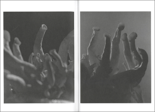 Joselito Verschaeve – As Long as the Sun Lasts