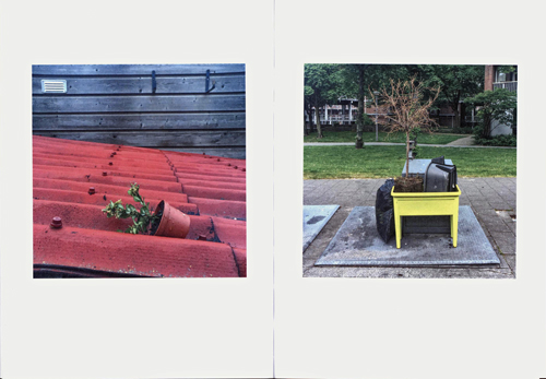 Jeroen Arians #streetlogic Jeroen Arians #streetlogic