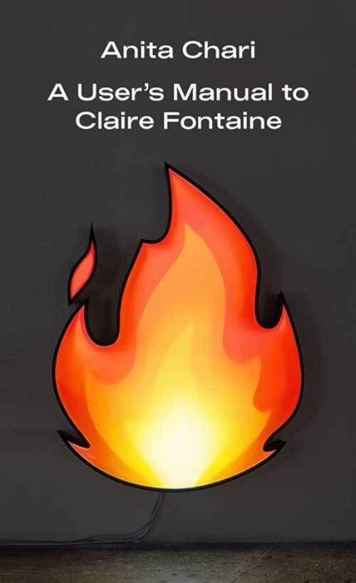 Anita Chari - A User's Manual to Claire Fontaine