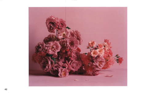 Simone Gooch + Derek Henderson - Rosa Simone Gooch + Derek Henderson - Rosa