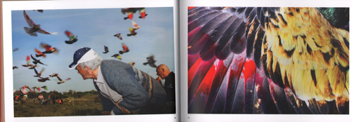 Photography Now! Vol 2