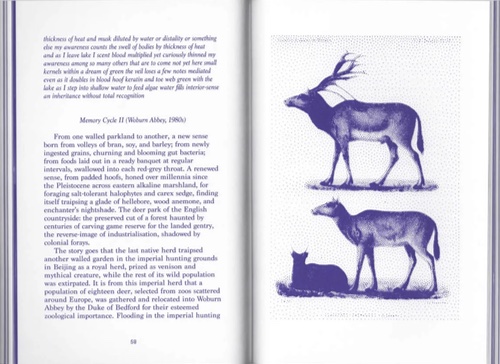 Making Kin – Animal Series Making Kin – Animal Series
