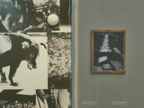 MORE THAN ONE WORLD – New Japanese Photography 50 Years On