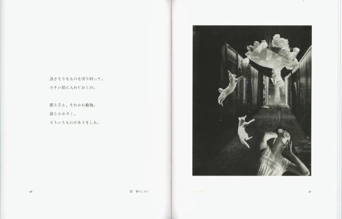 Essence of Toshiko Okanoue