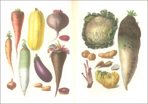 Notebook Plants and Vegetables Notebook Plants and Vegetables
