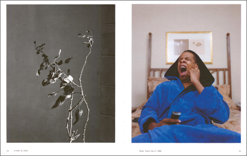 Dana Lixenberg - American Images