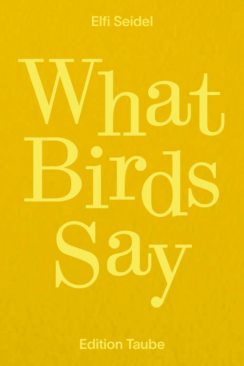 What Birds Say