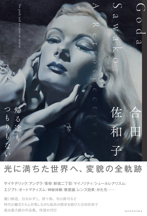 Sawako Goda - A Retrospective