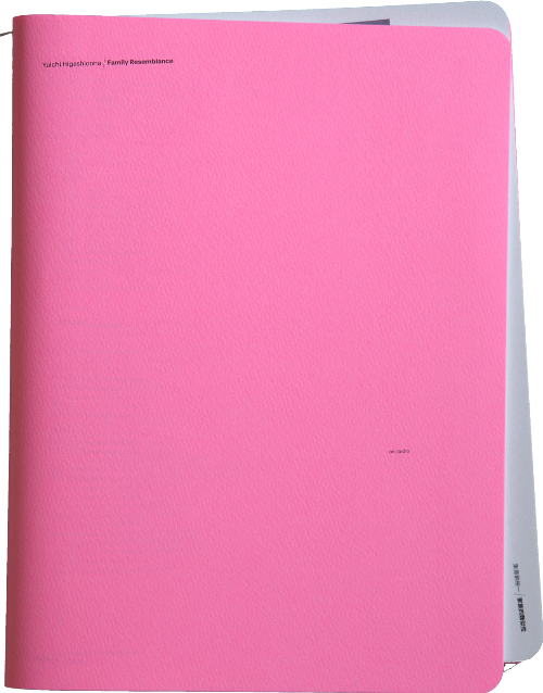 Yuichi Higashionna - Family Resemblance