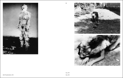 Ana Mendieta - Search for Origin (ES/EN edition)