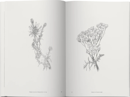 Lerin/Hystad - Electronic Flora Lerin/Hystad - Electronic Flora