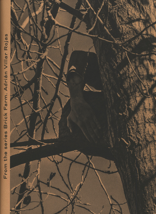 Adrian Villar Rojas From The Series Brick Farm