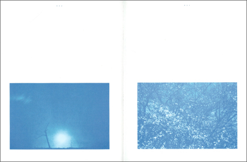 Cozue Takagi  – pool