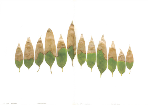 Anne Geene - Book Of Plants (new edition) Anne Geene - Book Of Plants (new edition)