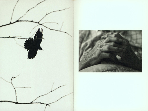 Hans Bol - White Crow Hans Bol - White Crow