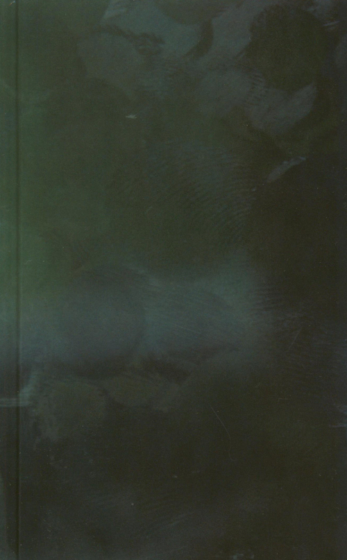 Noor Nuyten – Digital Dust and Other Stories