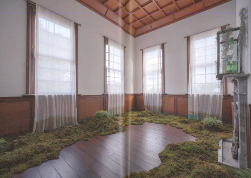 Tuning in to the forest