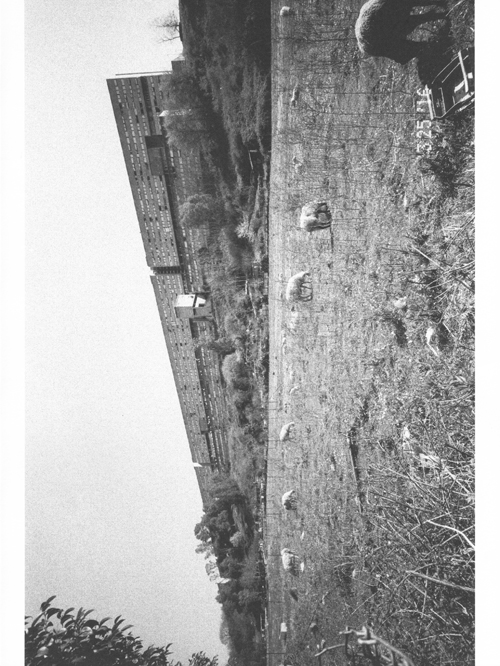 Ari Marcopoulos Rome - Malibu Ari Marcopoulos Rome - Malibu