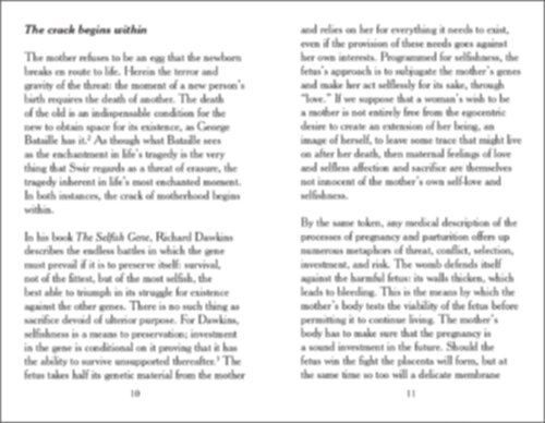 Iman Mersal - How to mend – Motherhood and its ghosts