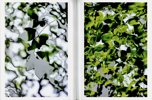 Yoshinori Mizutani - Hdr_nature