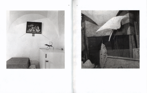 Joan Fontcuberta – Contravisiones Joan Fontcuberta – Contravisiones