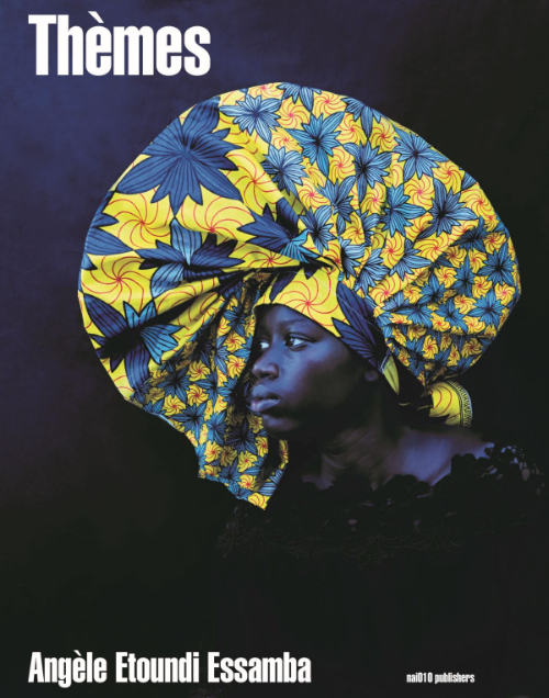 Angèle Etoundi Essamba - Thèmes